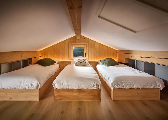 Juno - Year * שאמוני